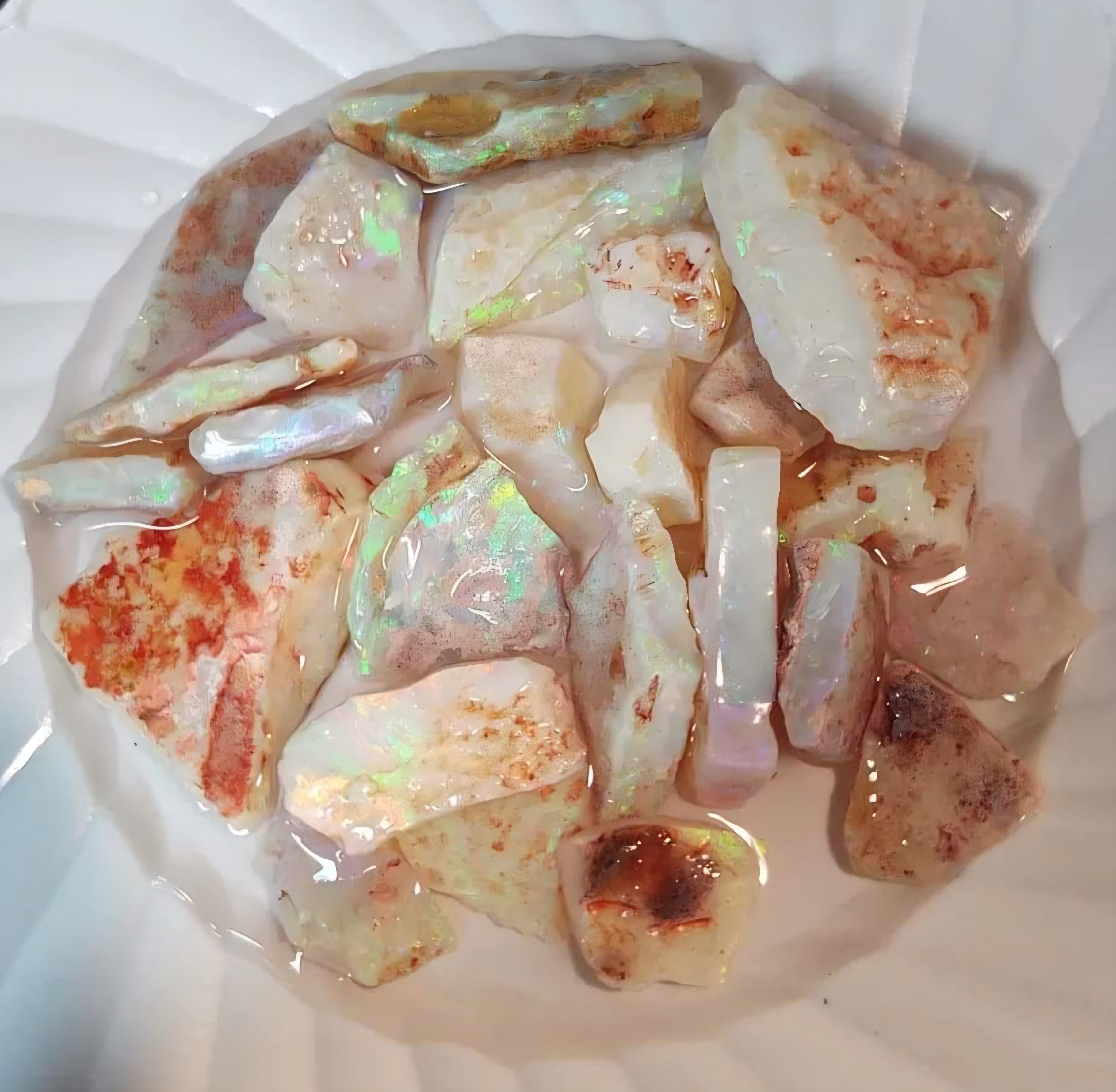 Opal Watching
